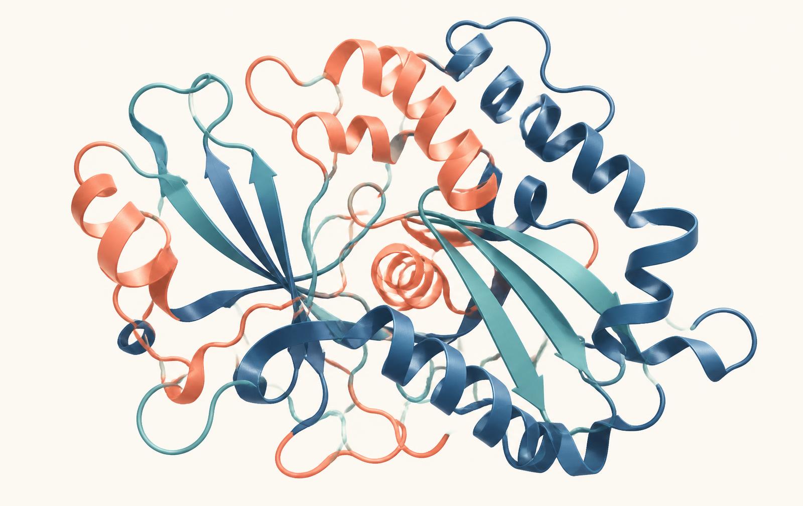 Illustrative image: an abstract ribbon diagram of a folded protein structure in coral, cobalt and teal.
